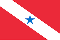Bandeira do Pará